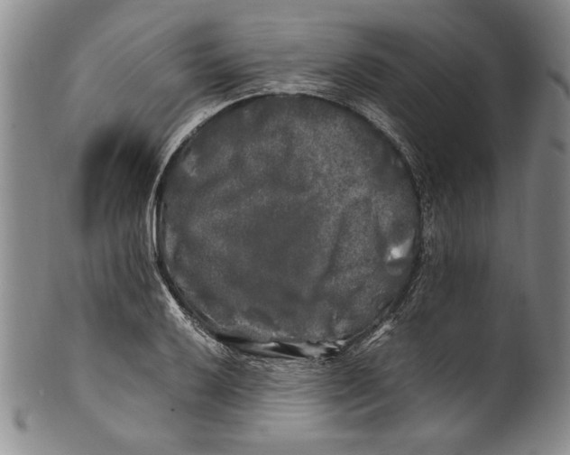X0000100761032200807171337