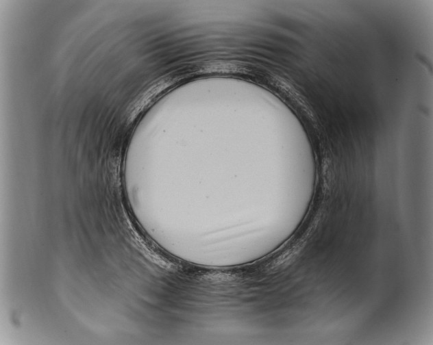 X0000100761033200807171337