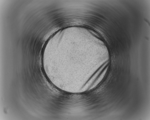 X0000100761034200807171337