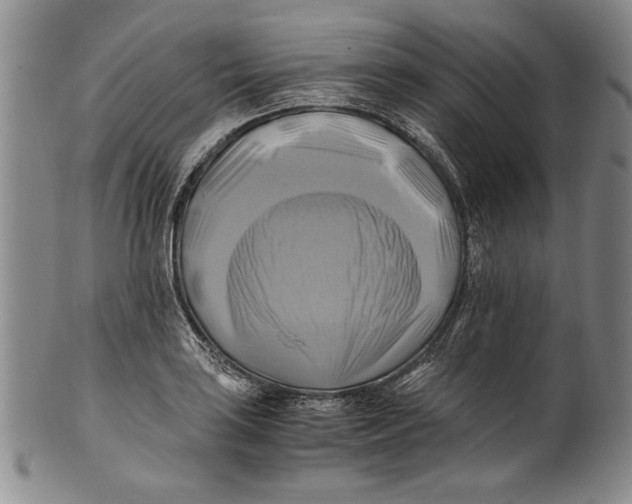 X0000100761035200807171337