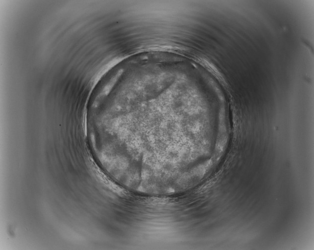 X0000100761036200807171337