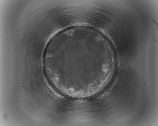 X0000100761037200807171337