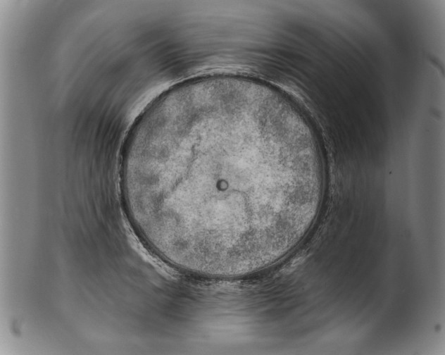 X0000100761038200807171337