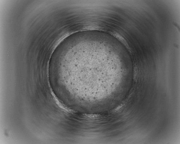 X0000100761039200807171337