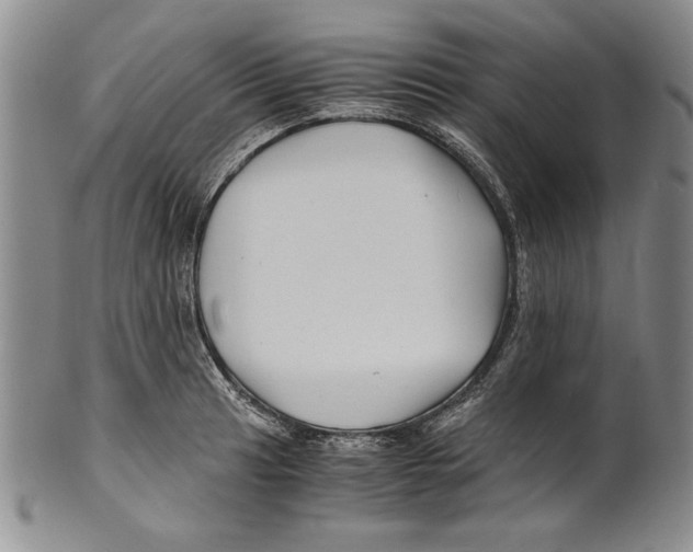 X0000100761041200807171337