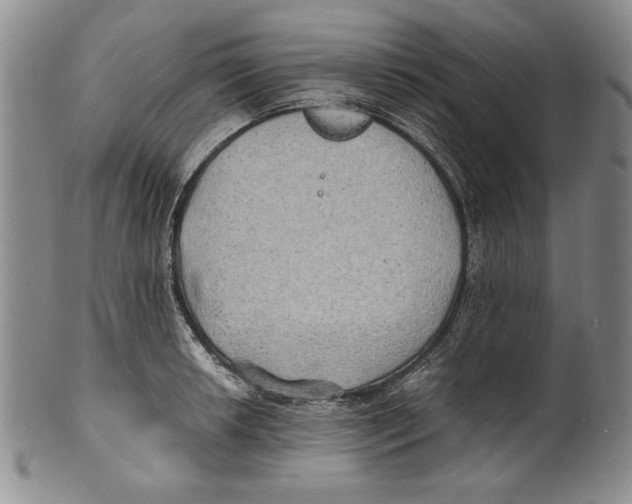 X0000100761042200807171337
