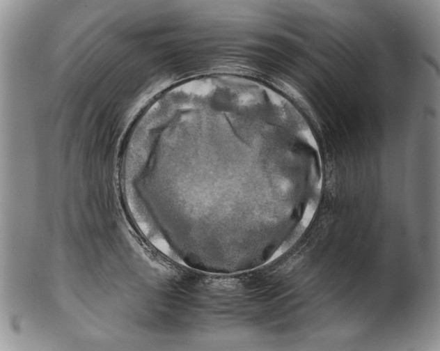 X0000100761043200807171337