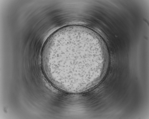 X0000100761044200807171337