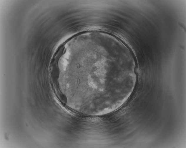 X0000100761045200807171337