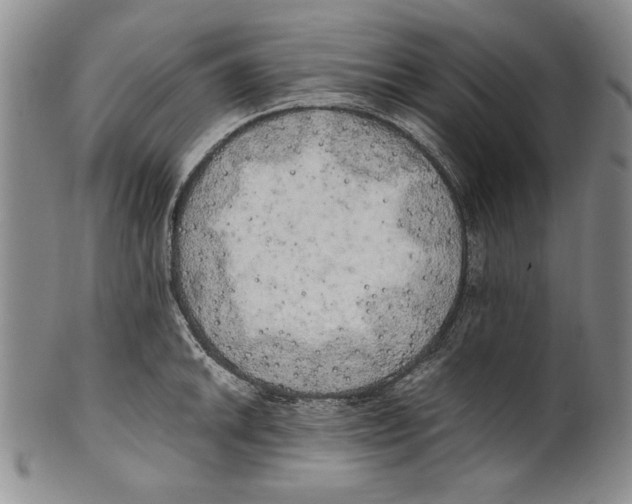 X0000100761046200807171337