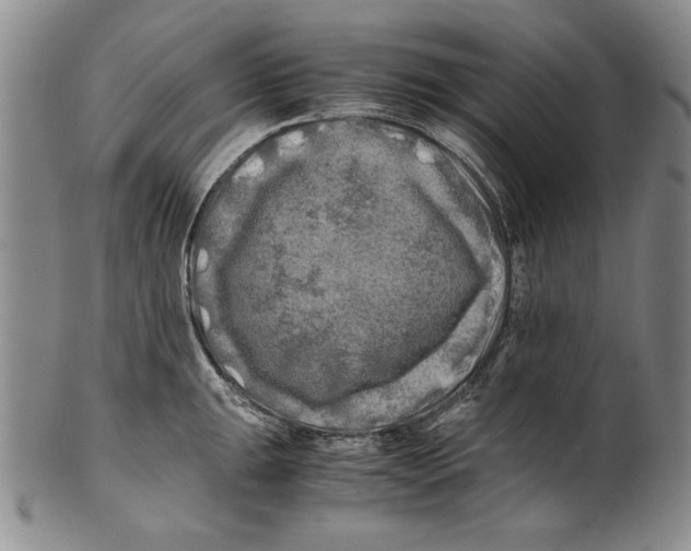 X0000100761047200807171337