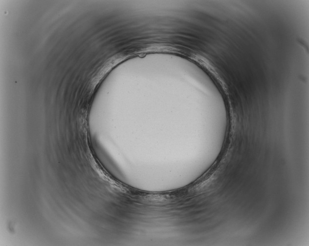 X0000100761049200807171337