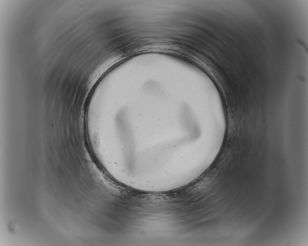 X0000100761050200807171337