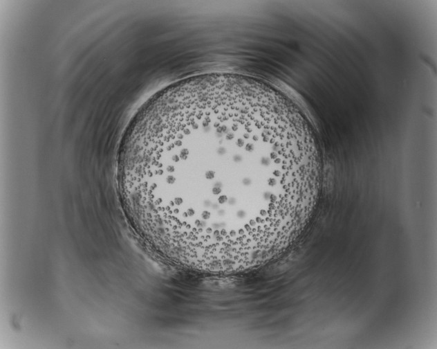 X0000100761051200807171337