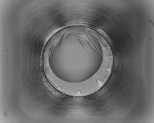 X0000100761052200807171337