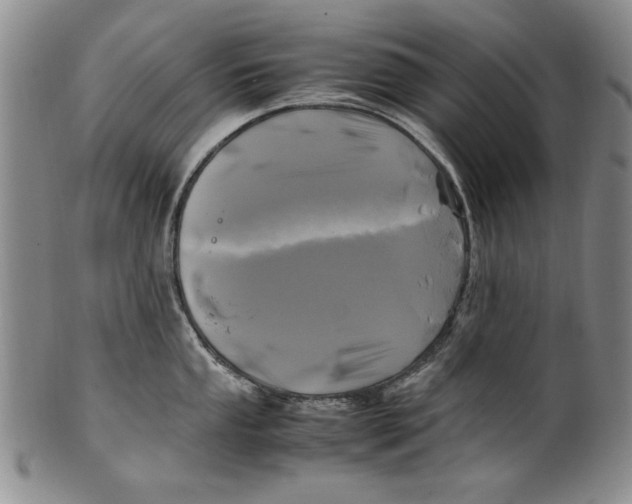 X0000100761053200807171337