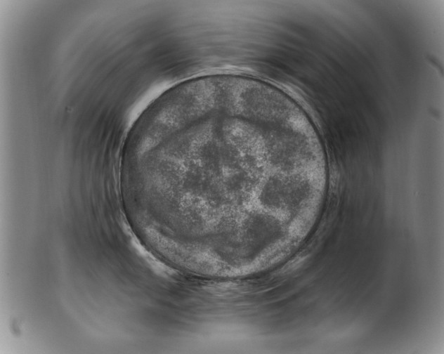 X0000100761054200807171337