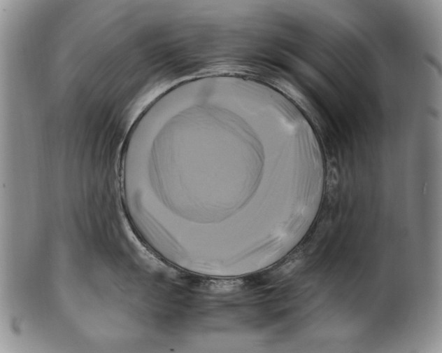X0000100761055200807171337