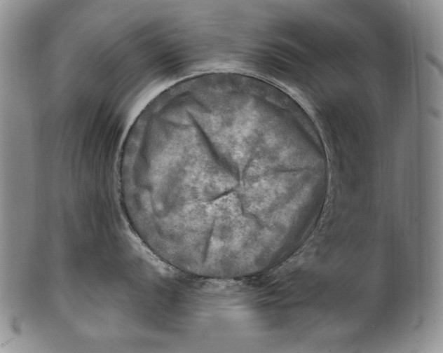 X0000100761056200807171337