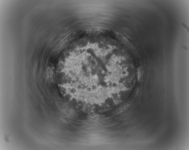 X0000100761059200807171337