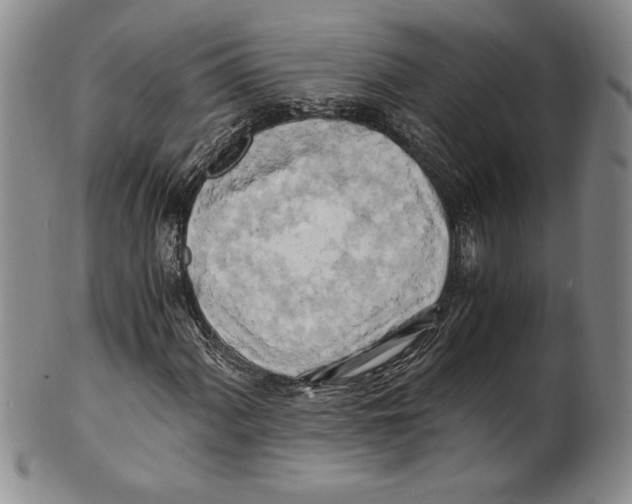 X0000100761060200807171337