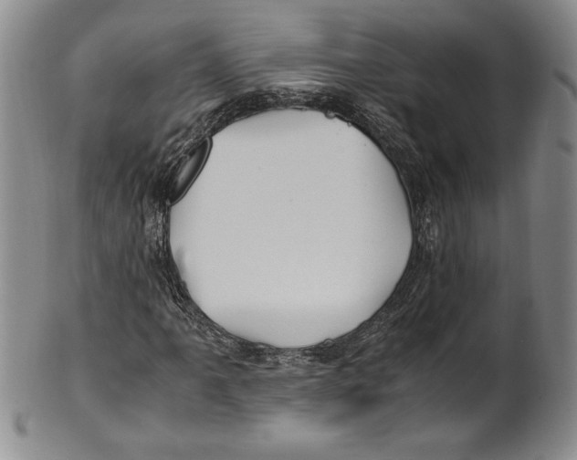 X0000100761061200807171337