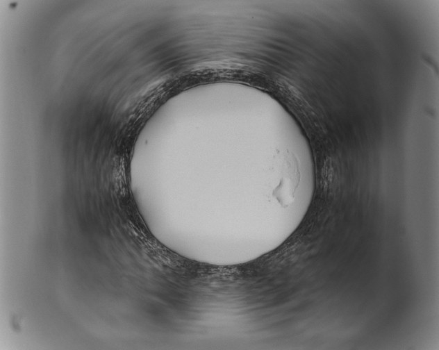 X0000100761062200807171337