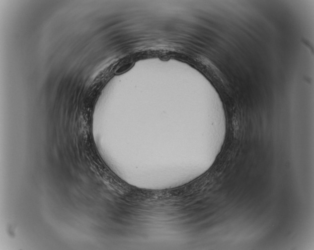 X0000100761064200807171336