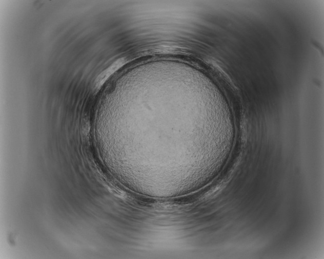 X0000100761065200807171336
