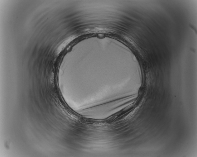 X0000100761066200807171336