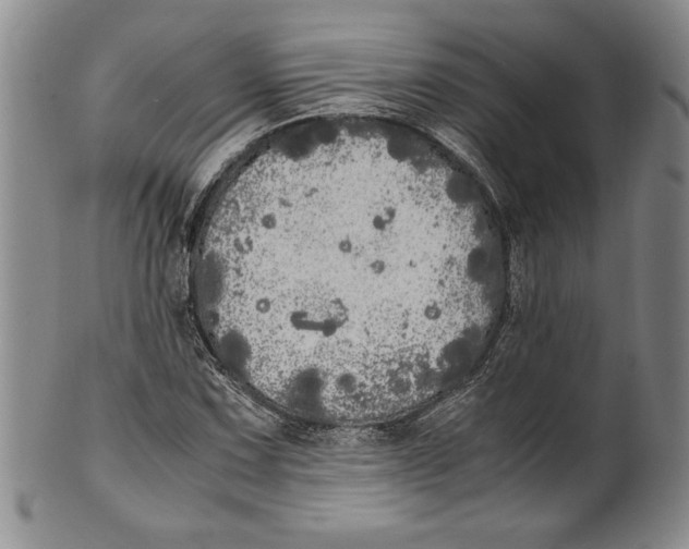 X0000100761067200807171336