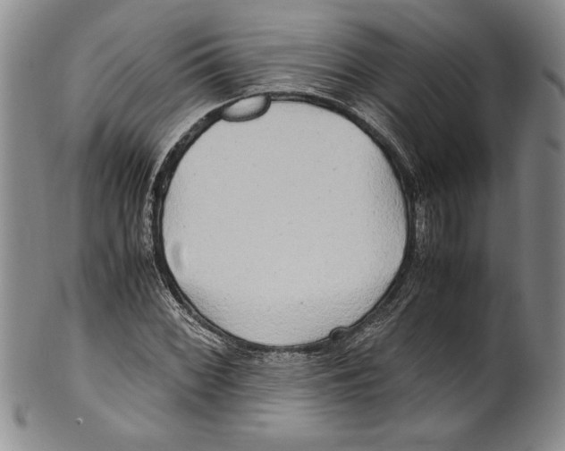 X0000100761068200807171336