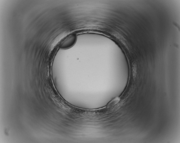 X0000100761069200807171336