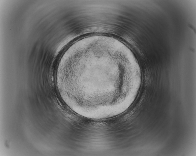 X0000100761070200807171336