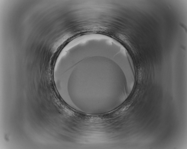 X0000100761071200807171336