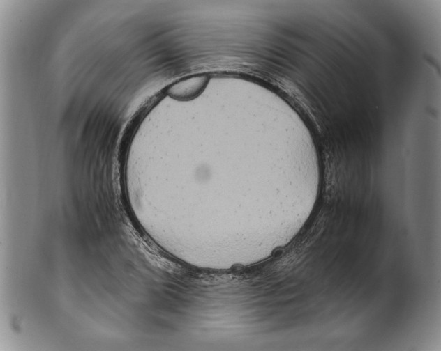 X0000100761072200807171336
