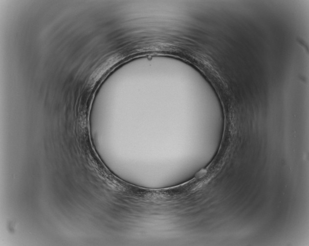 X0000100761073200807171336