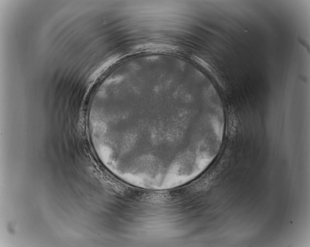 X0000100761074200807171336