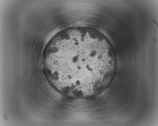 X0000100761075200807171336