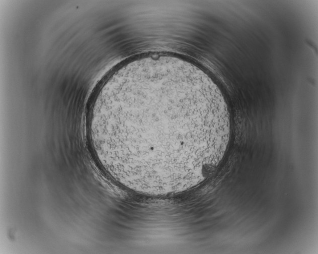 X0000100761076200807171336