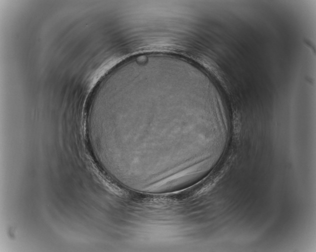 X0000100761077200807171336