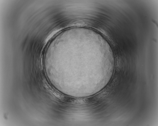 X0000100761078200807171336