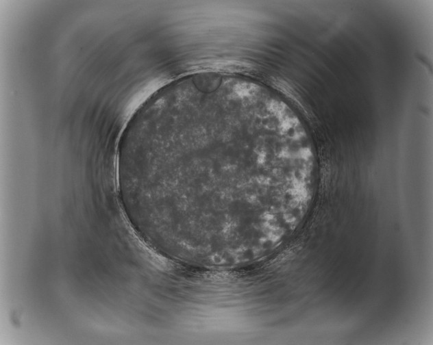 X0000100761079200807171336
