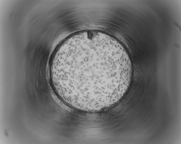 X0000100761080200807171336