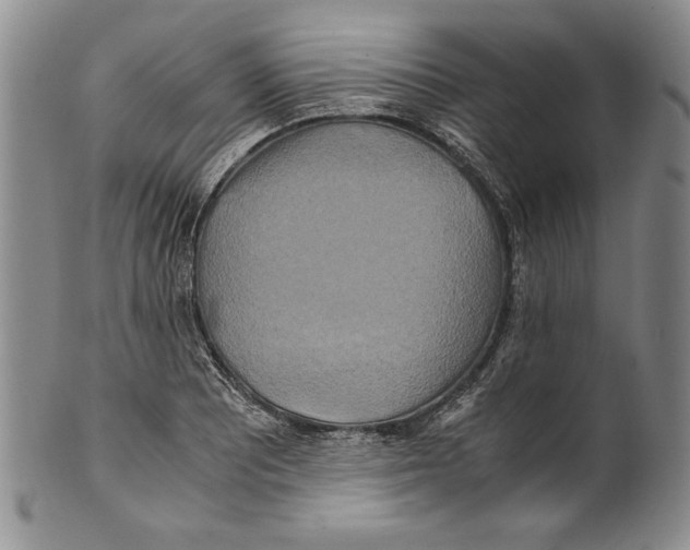 X0000100761081200807171336