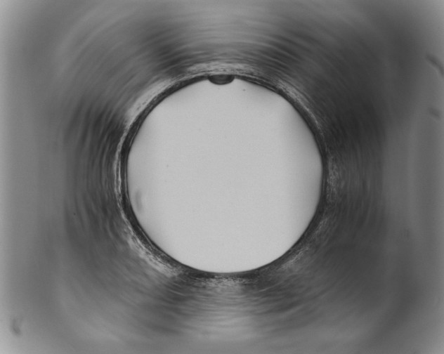 X0000100761082200807171336