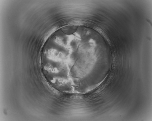 X0000100761083200807171336