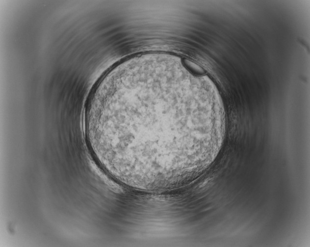 X0000100761084200807171336