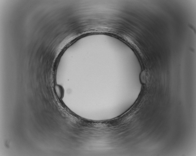 X0000100761085200807171336