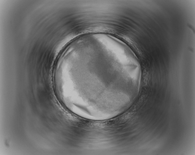 X0000100761086200807171336